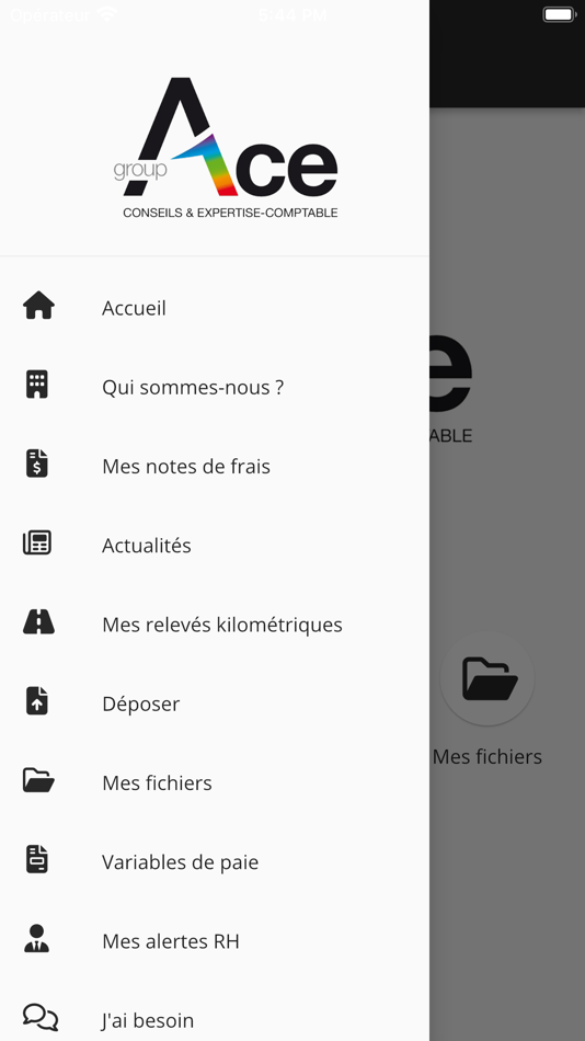 #4. Groupe ACE (iOS) 由: MyCompanyFiles