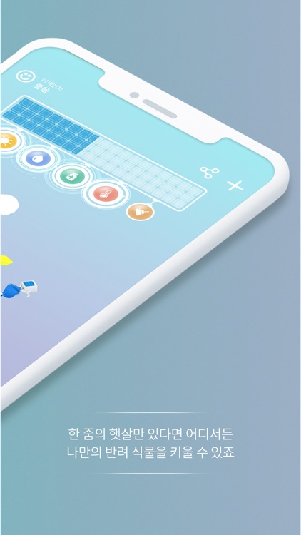 태양의 숲 | Solar Forest