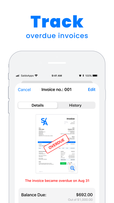 Saldo: Invoice Maker App Screenshot