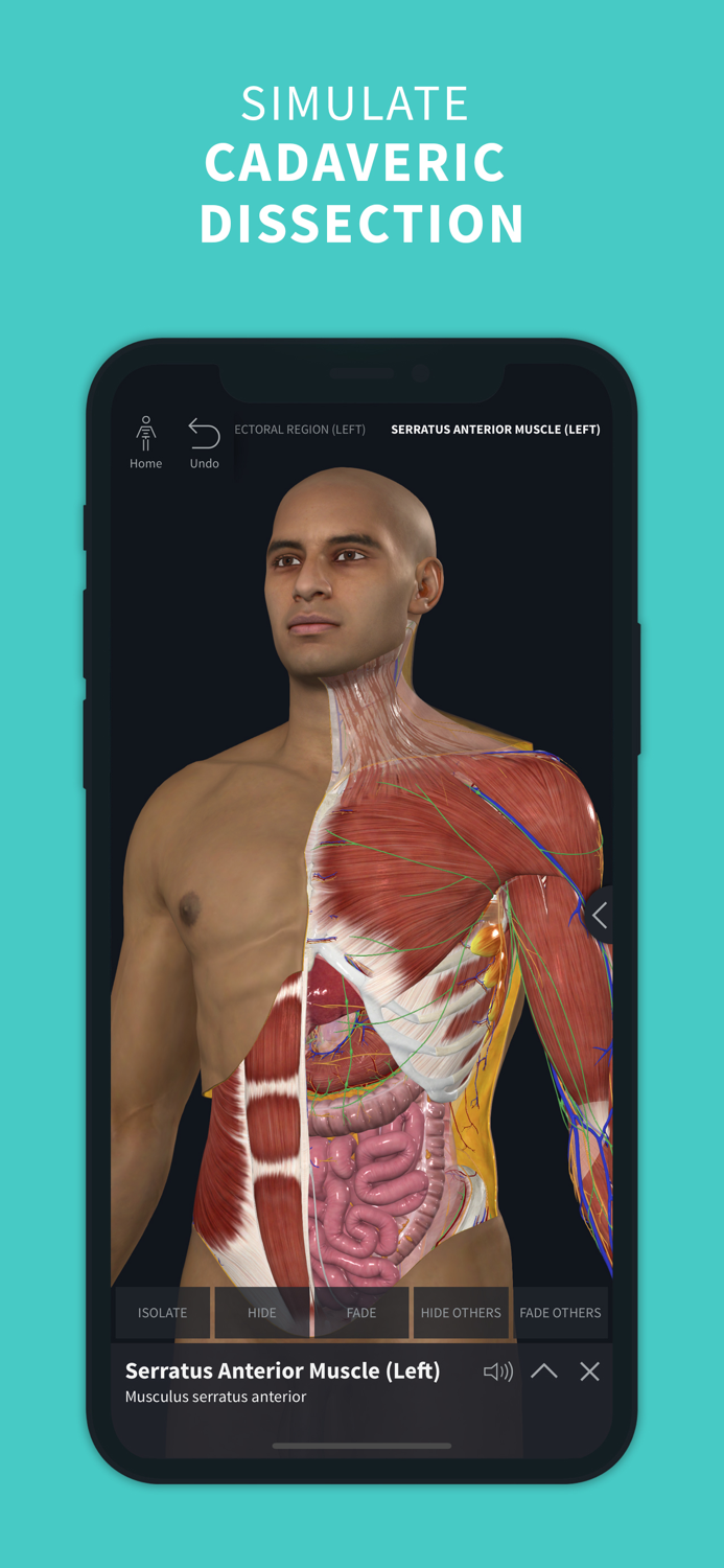 Complete Anatomy ‘24