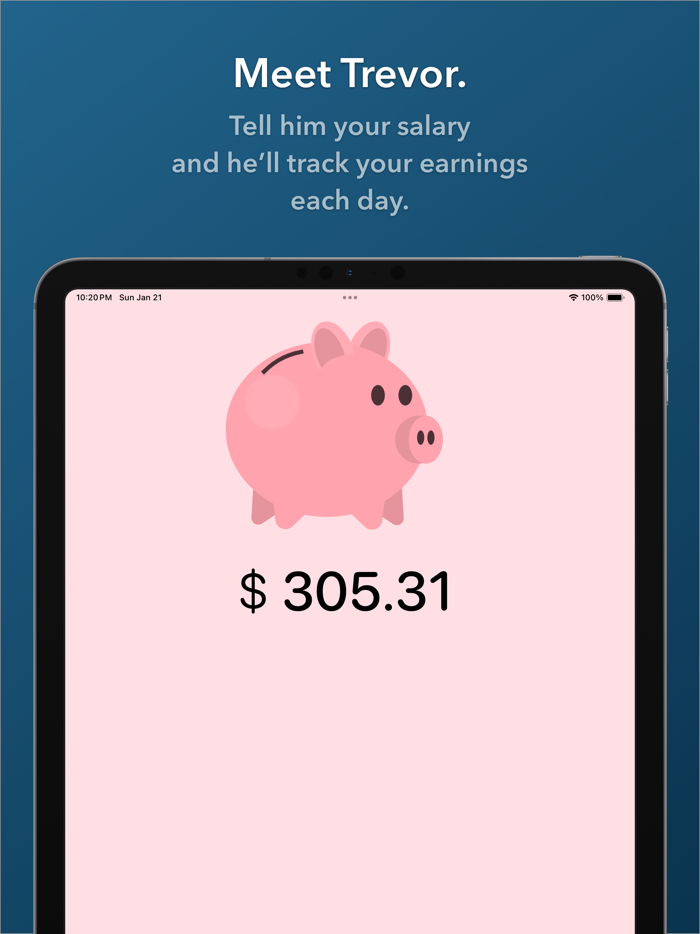 SalaryPig