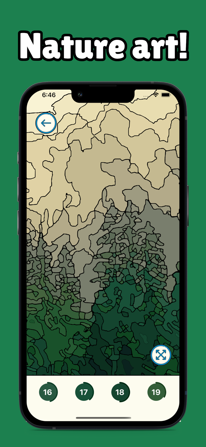 Mega Color - Paint by Number