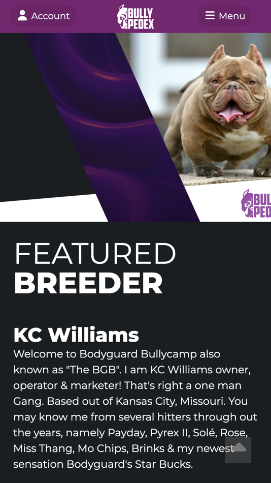 #3. Bully Pedex (iOS) Podle: 404 investment Group Inc.