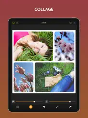 picpoc - fotobearbeitung ipad bildschirmfoto 4