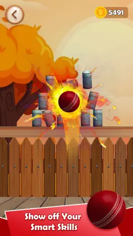 Game screenshot Hit & Knock down - Hit Cans mod apk