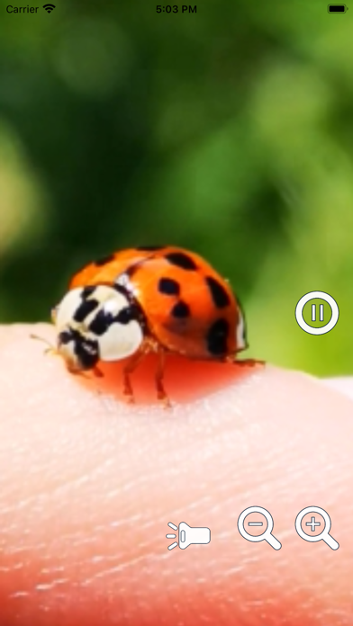 Magnifying Glass Pro2 - Loupe Screenshot