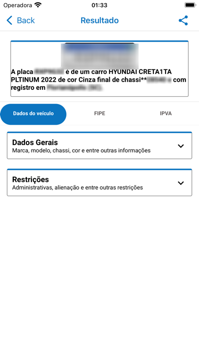 Consulta de Placas Screenshot