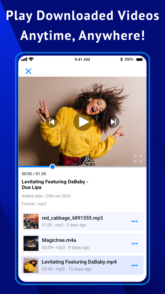 #1. Video Manager - Offline Play (iOS) 게시자: Monjurul Islam