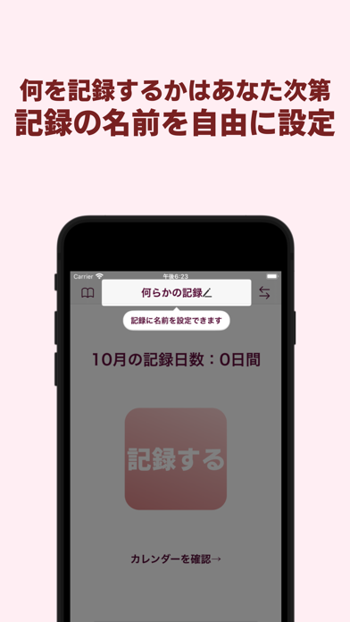 何らかの記録 screenshot