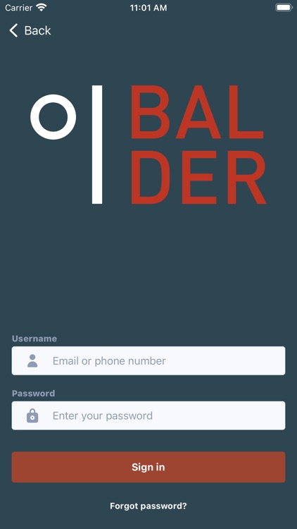 Balder Service Access