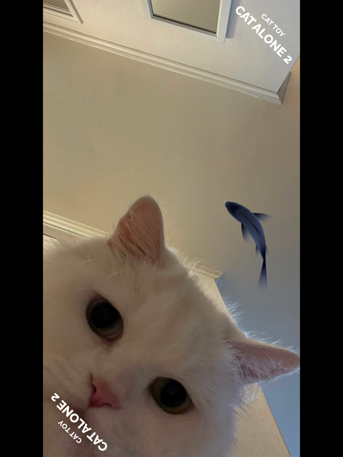 CAT ALONE 2 - Cat Toy