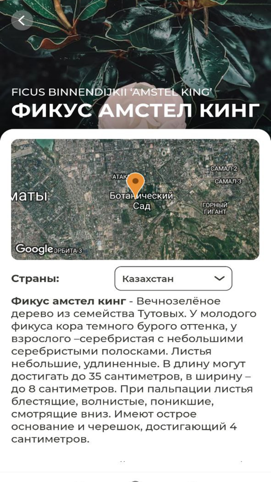 #3. Оранжерея ГБС г. Алматы (iOS) Ved: Ivan Vostrikov