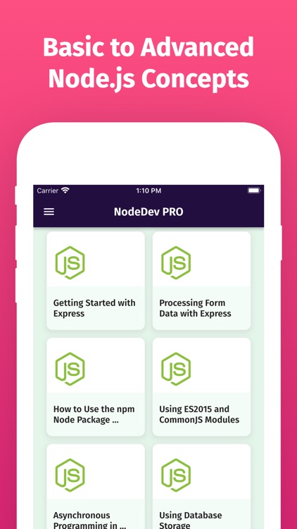 Learn Node.js Development PRO screenshot-4