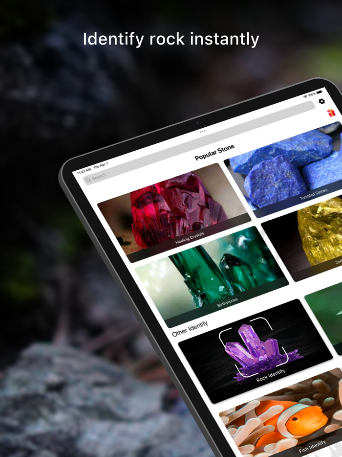 Rock Identifier Crystal Finder