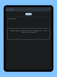 Text-To-Binary Converter ipad bilder 1