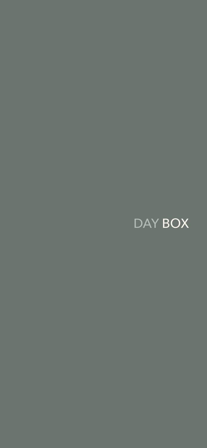 DAYBOX  D-DAY