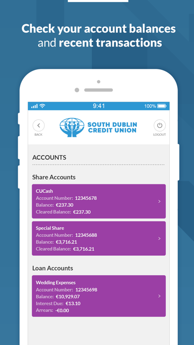South Dublin Credit Union Screenshot