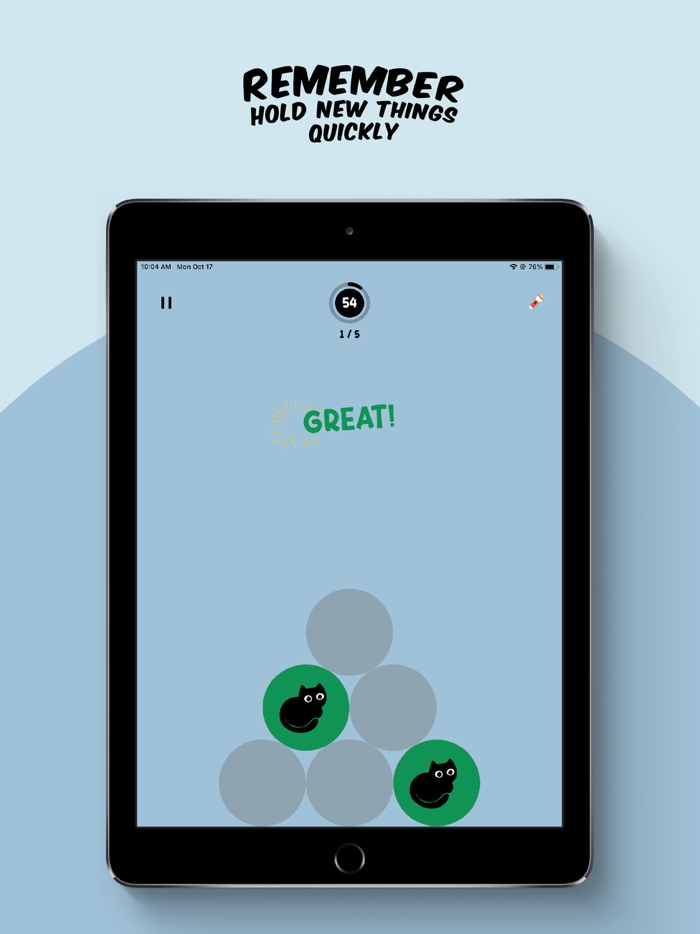 Brain Puzzle - Training Tests