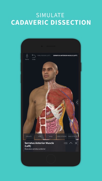 Complete Anatomy ‘24 screenshot1