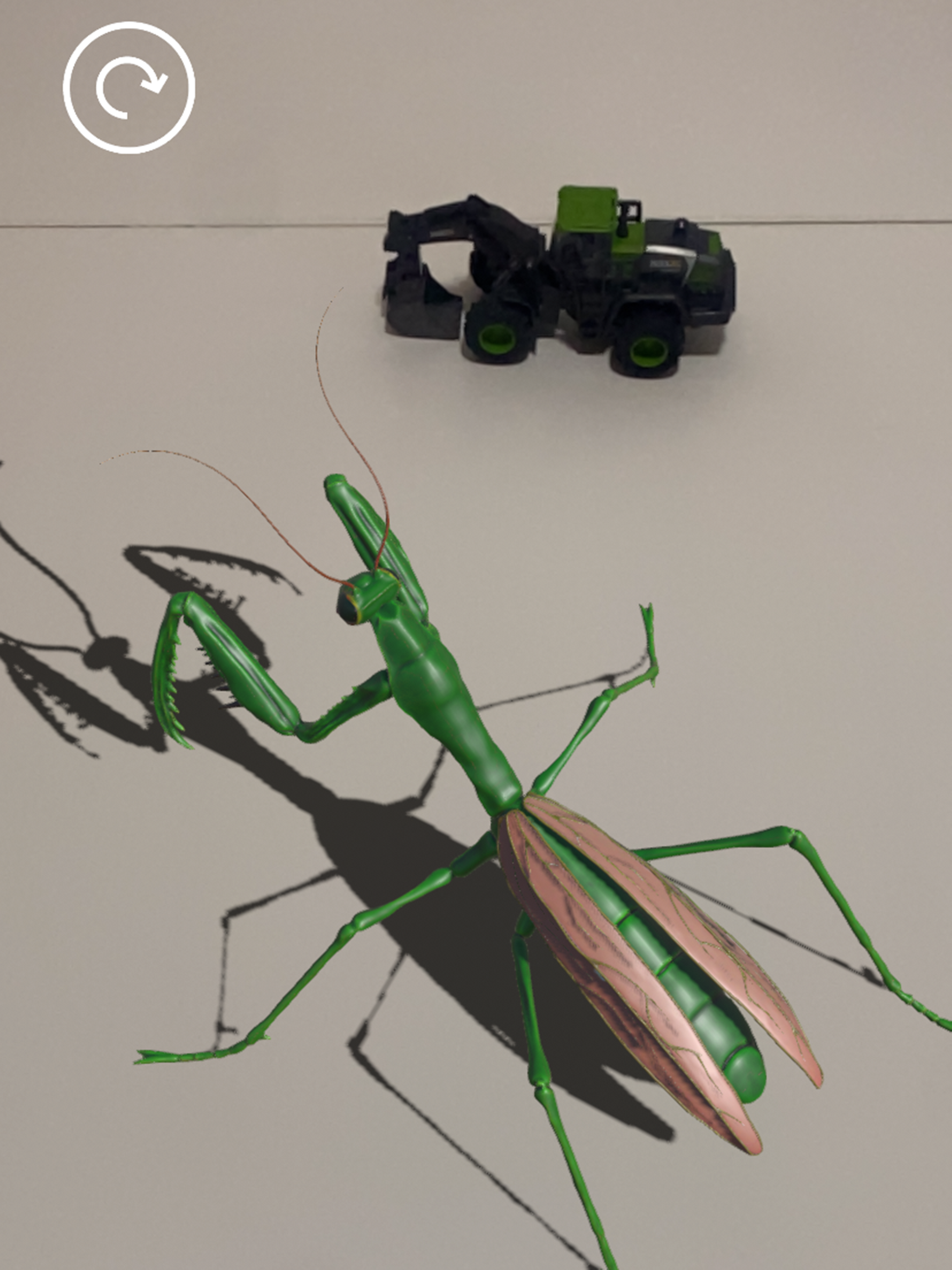 Insectes AR