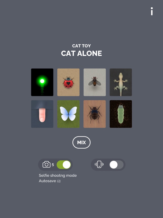Cat toy cat alone