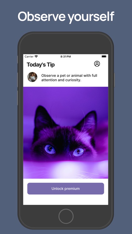 Mindful Moments - Quiet Space