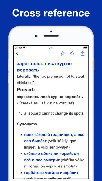Russian Idioms and Proverbs screenshot-6
