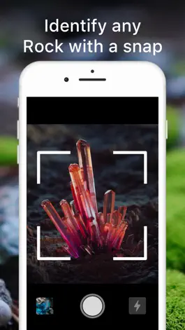 Game screenshot Rock Identifier Crystal Finder hack