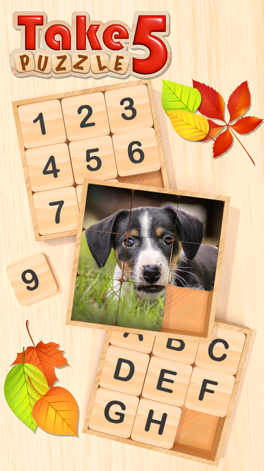 #1. Take 5 Puzzle (iOS) 来自: Claude Thomas