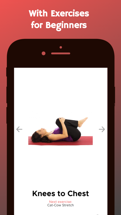 Stretching Exercises at Home Screenshot