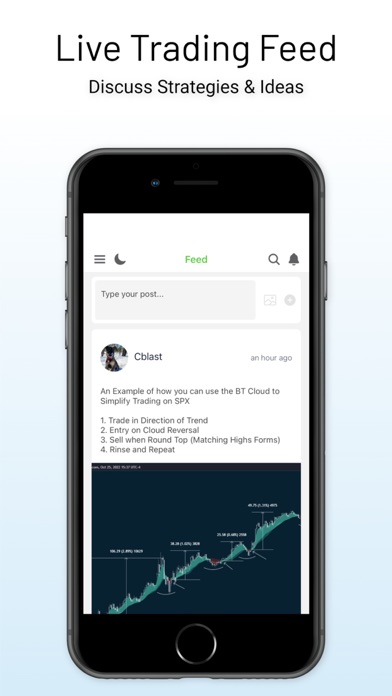 Bull Trades Screenshot