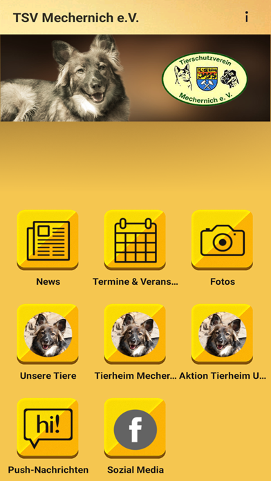 TSV Mechernich e.V. Screenshot