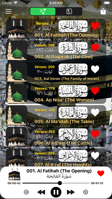 Screenshot #1 pour Quran Hindi Tarjuma and Tafsir