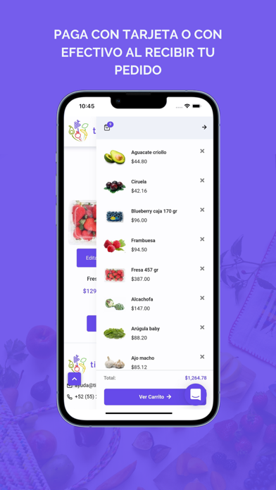Tianguis-mx Screenshot