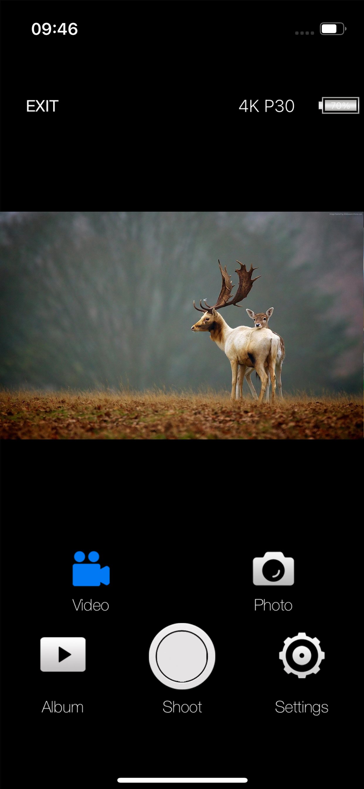 Hunting 4K Pro