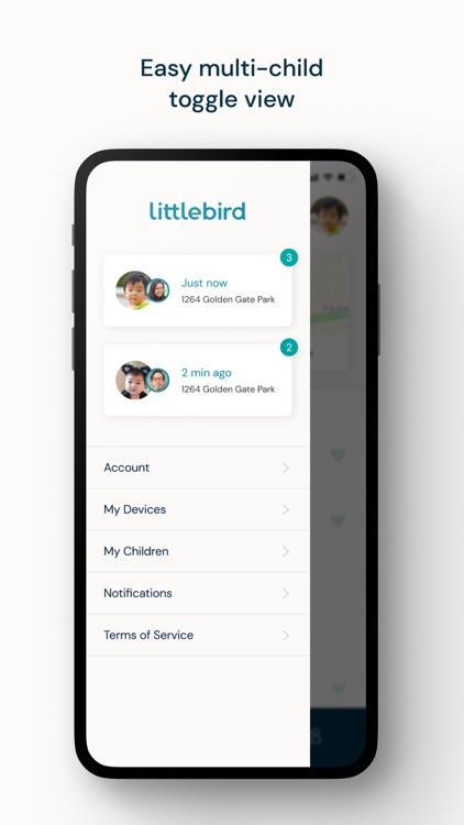 Littlebird Care