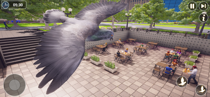 Pigeon Bird Flying Simulator