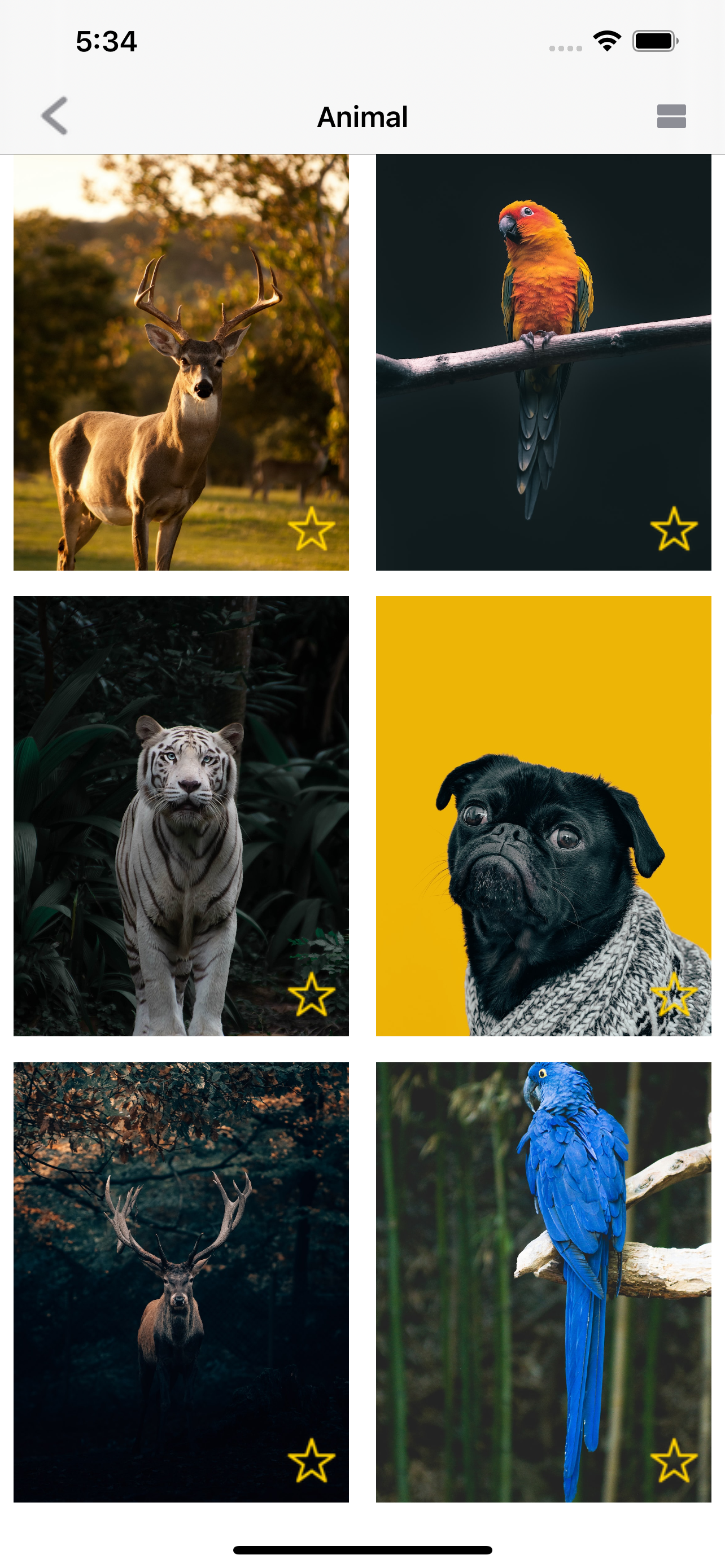 iWallpaper - Trending HD image
