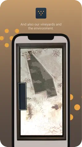 Game screenshot Bodegas CARO hack