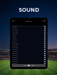 Baseball Sound Effects ipad bilder 1