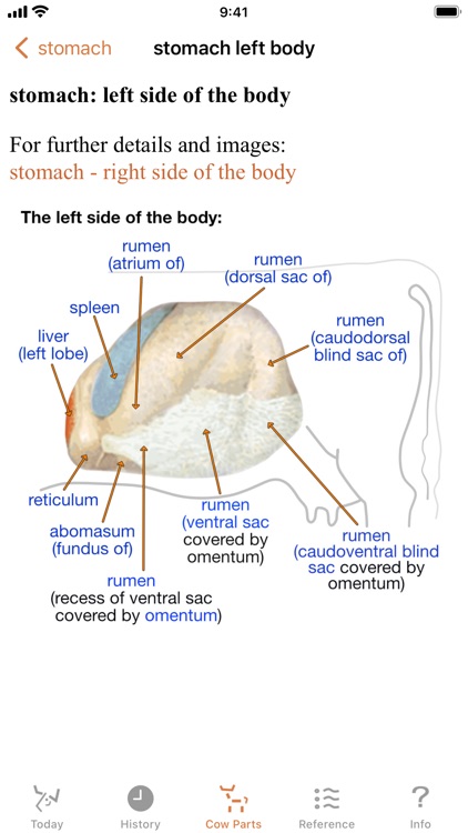 My Daily Cow screenshot-5