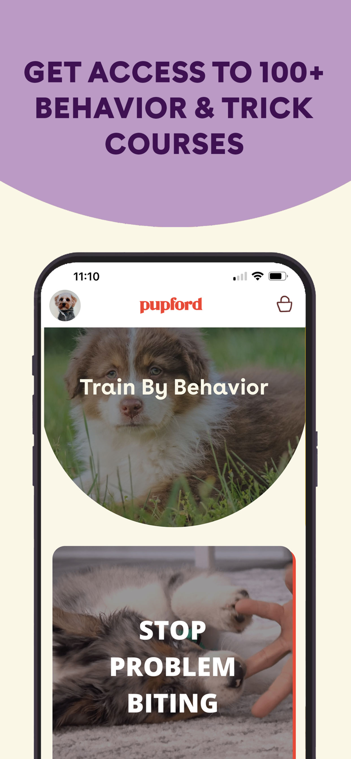 Pupford Puppy Training