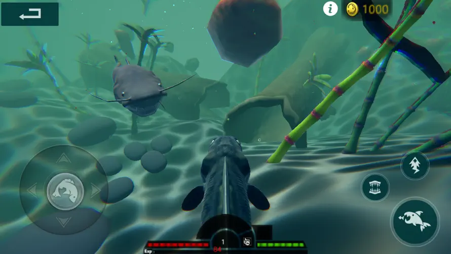 3D Fish Growing screenshot 9