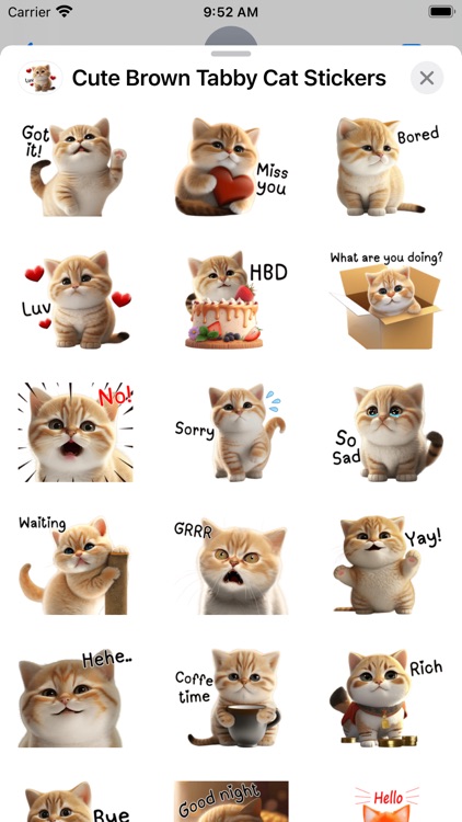 Cute Brown Cat Stickers