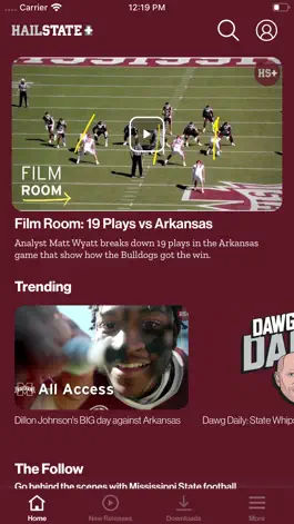 Game screenshot HailState+ mod apk