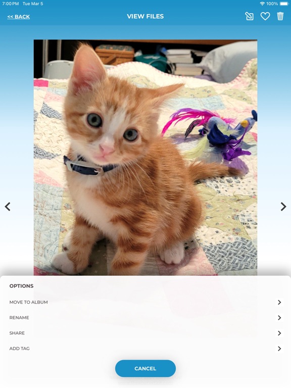 ThePhotoStick Omni iPad screenshot 6 - Utilities app