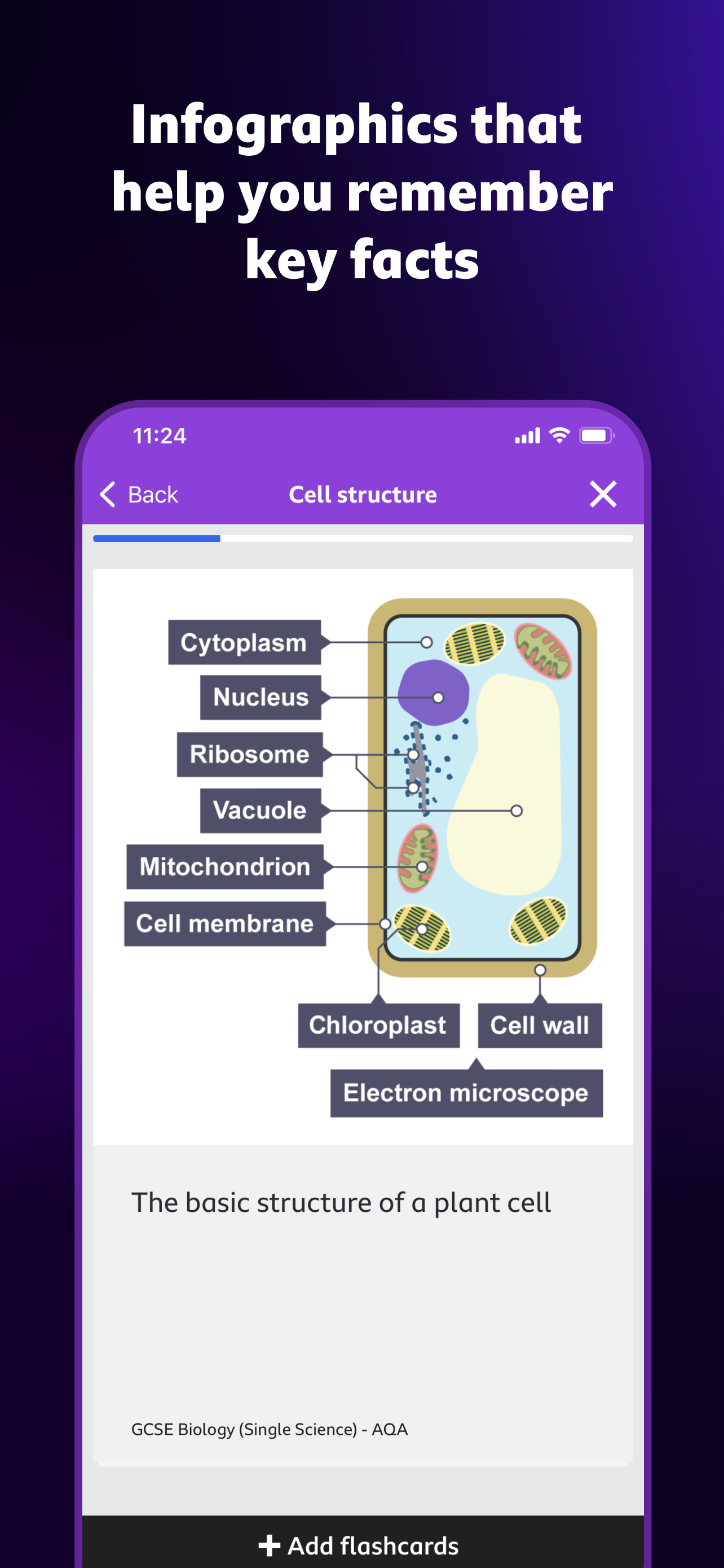 BBC Bitesize - Exam Revision screenshot 5