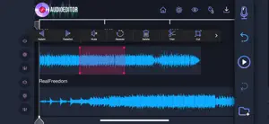 Audio Editor: Recording Studio screenshot #1 for iPhone