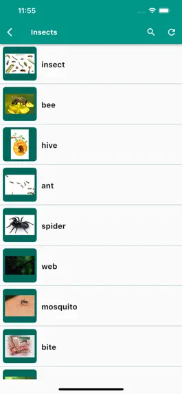 Game screenshot English Vocabulary in Use apk