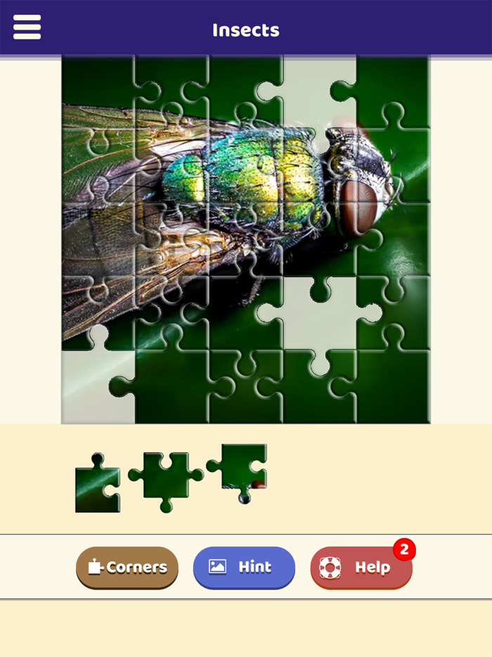 Insect Love Puzzle
